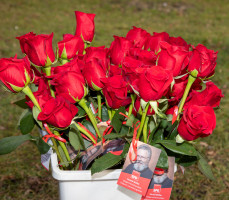 Rosenaktion Valentinstag