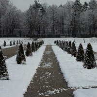 Schlosspark Schleißheim im Winter